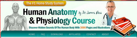 Human Anatomy and Physiology Course